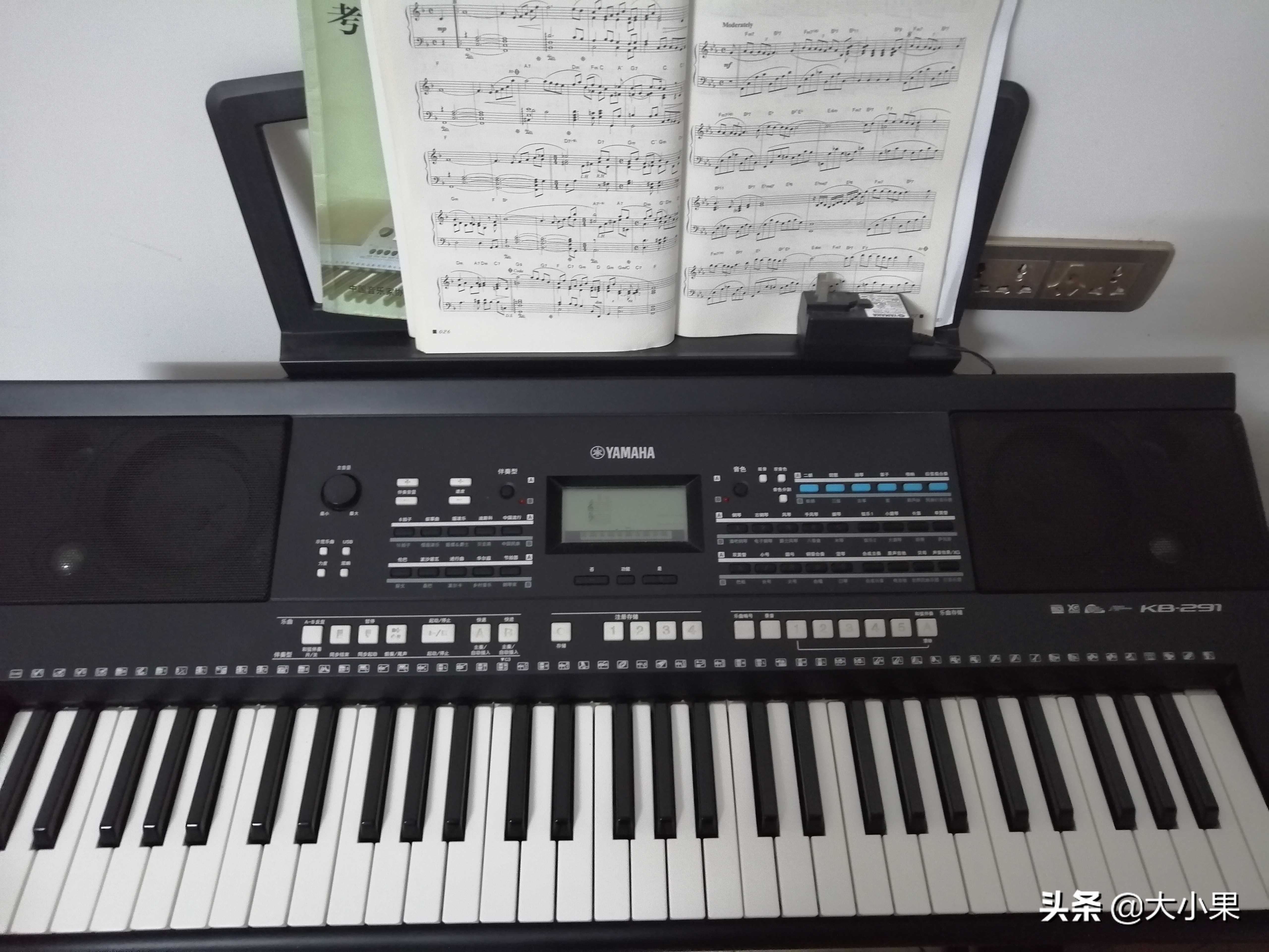 自学电子琴入门手把手教你,想学会电子琴哪里学