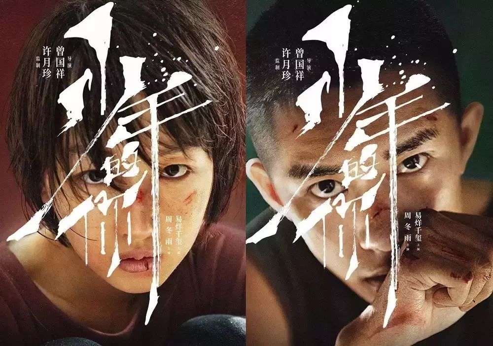 少年的你票房得奖了吗,少年的你票房排行榜实时