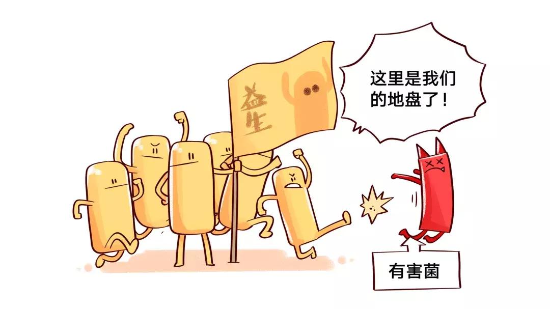 哪种牌子的益生菌好吸收又健康,便宜益生菌和贵的益生菌的区别