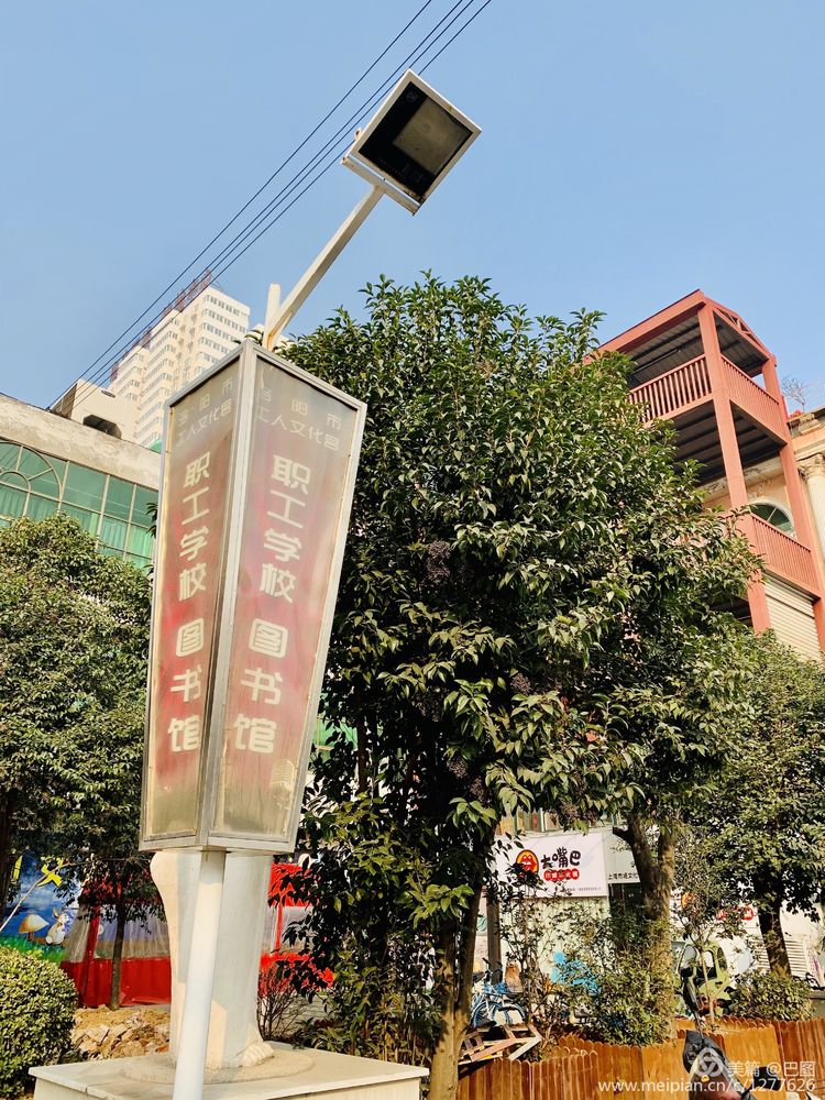 涧西牡丹广场老照片,洛阳牡丹手机拍照