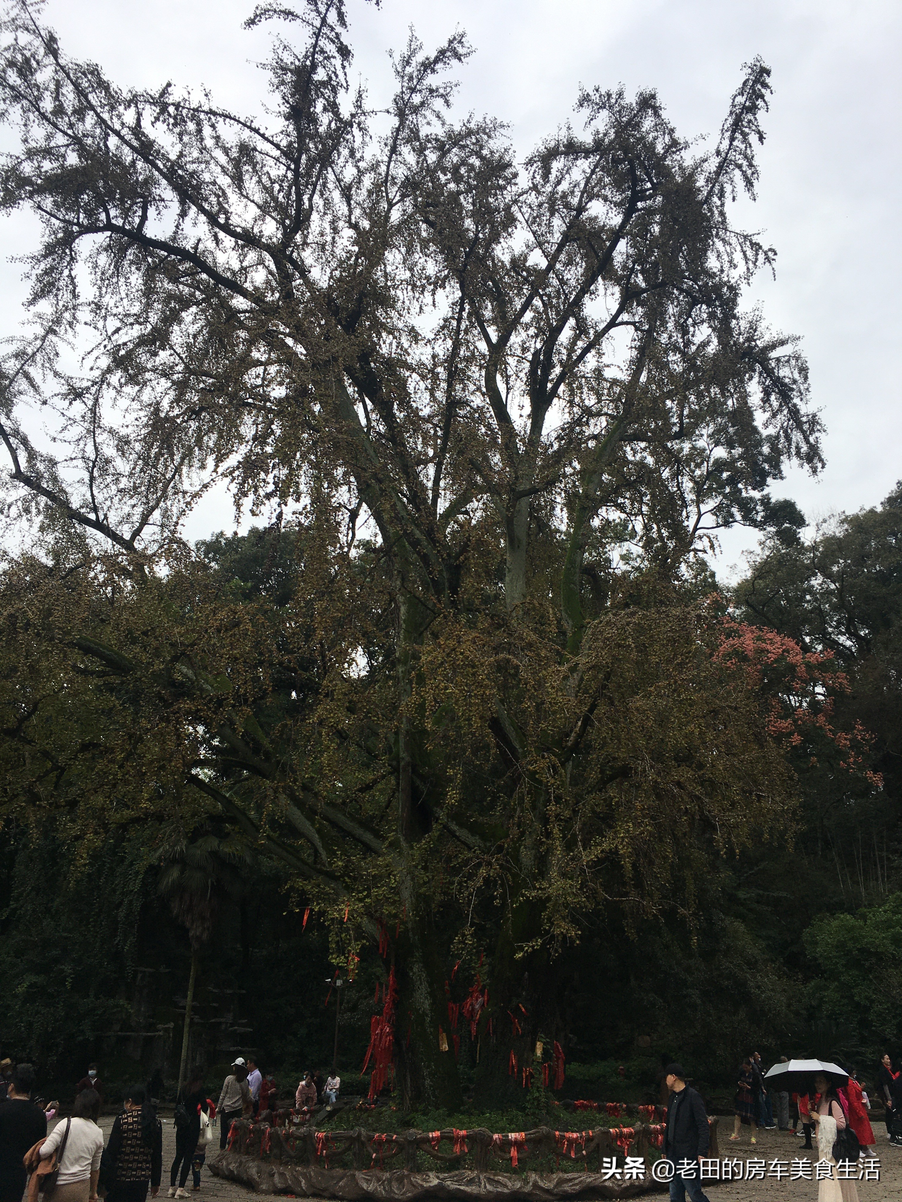 三国周郎赤壁什么意思,三国周郎赤壁在哪里