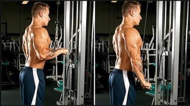 腿部肌肉一周在家无器械训练方案,每个部位的肌肉一周训练几组合适