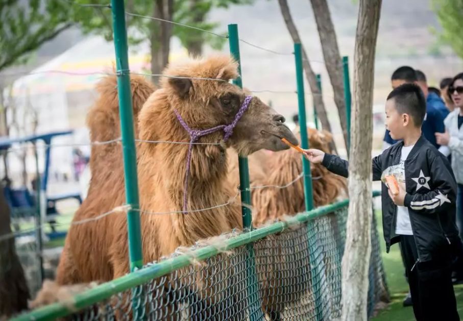 大连铭湖牧场和三寰牧场哪个好,大连铭湖牧场和三寰牧场哪个好玩
