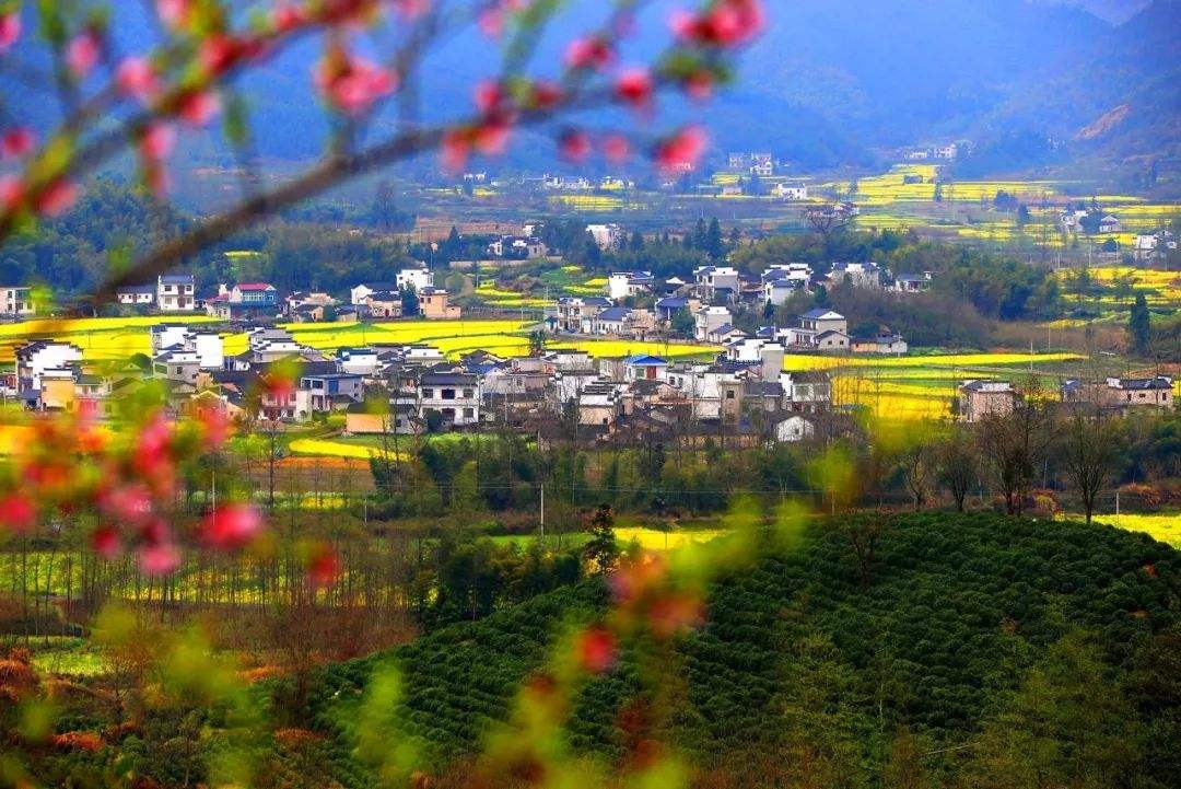 安徽春天美丽的视频,安徽美丽的春天
