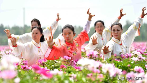 中草药赚钱项目有哪些,中草药康养项目