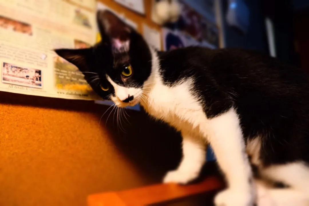 和卡卡的第一次合作,和卡卡相遇