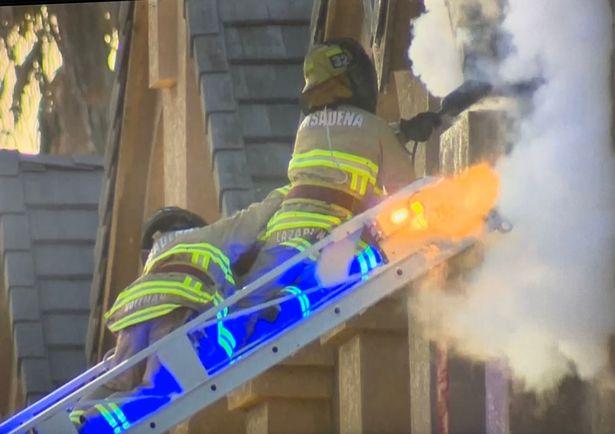 杀人蜂有多可怕,美国巨型杀人蜂