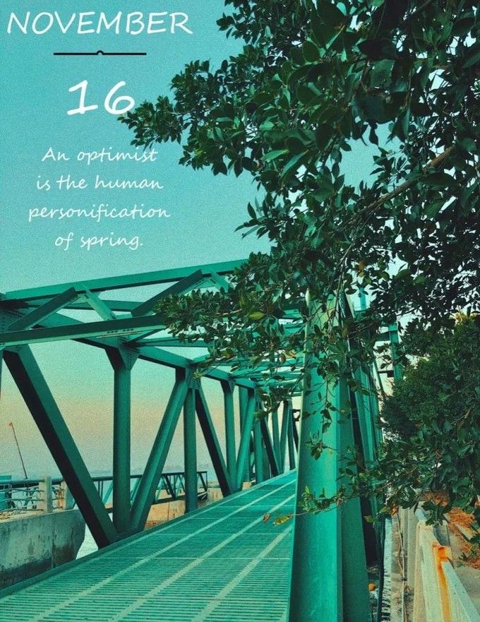 春节厦门自由行5日游攻略,自由行攻略厦门旅游景点