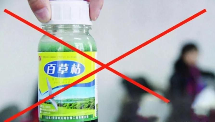 13岁女孩喝下百草枯后续最近消息,13岁女孩喝下百草枯事件全过程