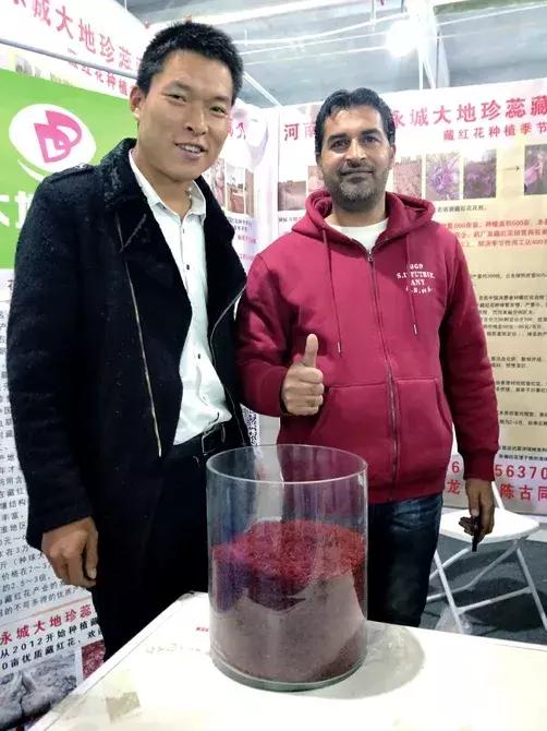 大蒜最好的新品种种子,大蒜种子大全100款