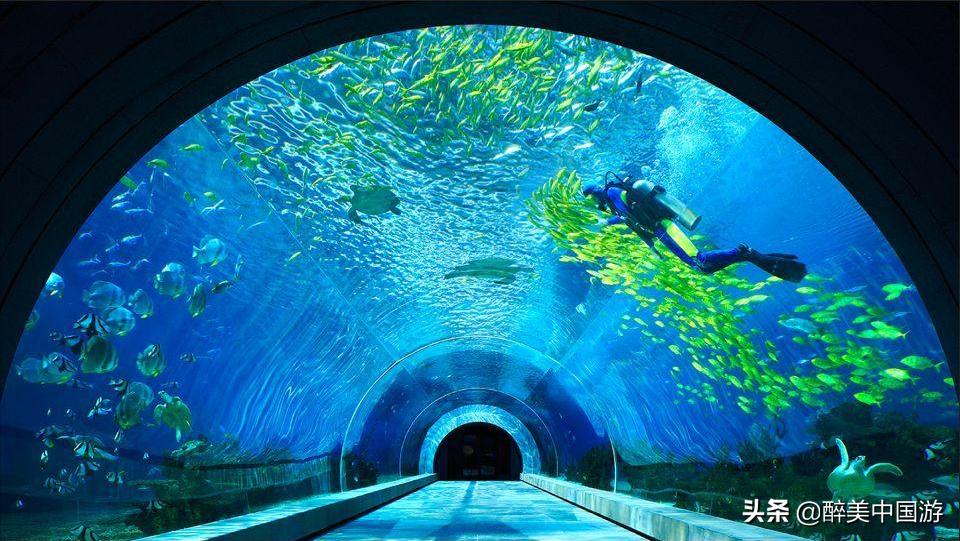 去三亚怎么才不会被坑,去三亚怎么玩跟不跟团