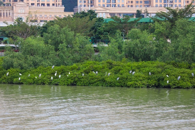 玩转珠海酒店,玩转珠海长隆全攻略