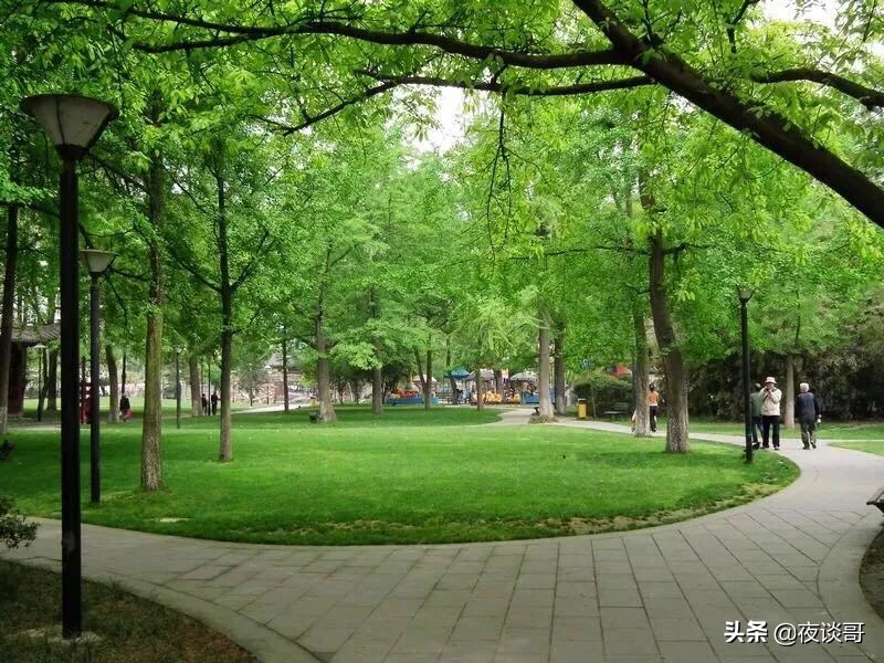 头条|带你回到50年前的大丰，感受下什么叫日新月异！