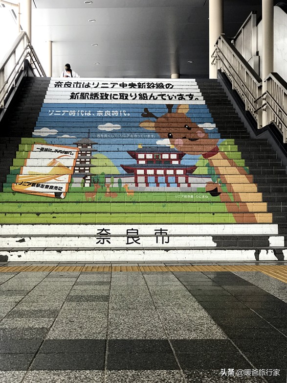 奈良旅行攻略,奈良寻鹿完整版视频