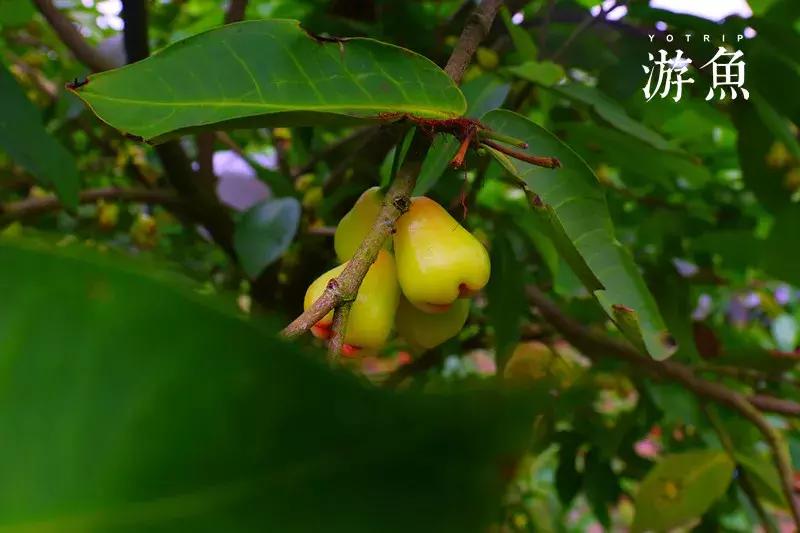 希尔顿兴隆湖,希尔顿酒店兴隆店