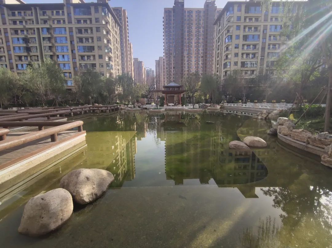 实探一线湖景房,石家庄房产探盘排行榜前十名