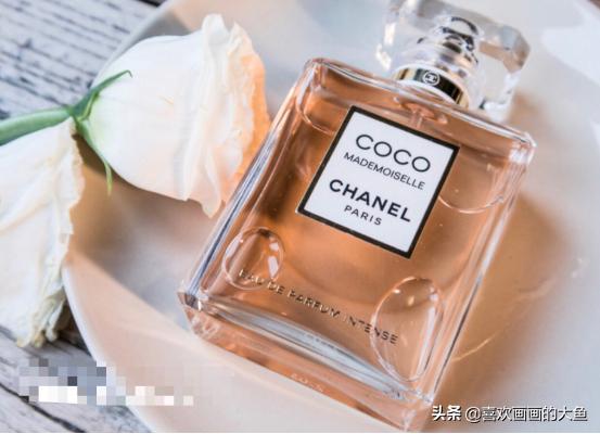 diorchanelcelineysl蓝血,ysl香水和香奈儿香水哪个好