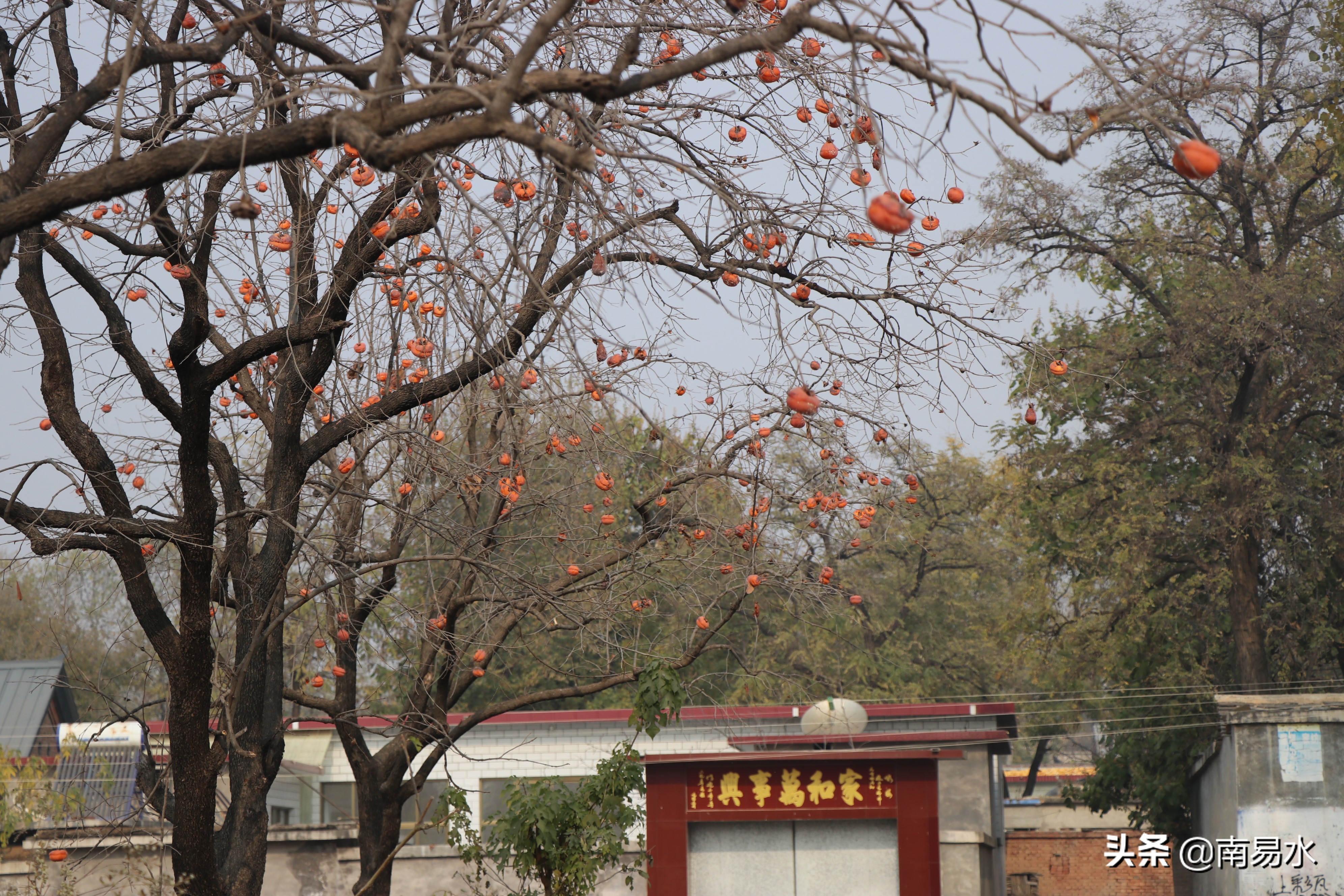 家乡风景带你一起感受自然的味道,令你难以忘怀的家乡的味道