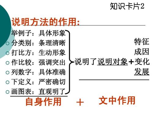 语文考点解析解题方法,语文说明文常考知识点答题技巧