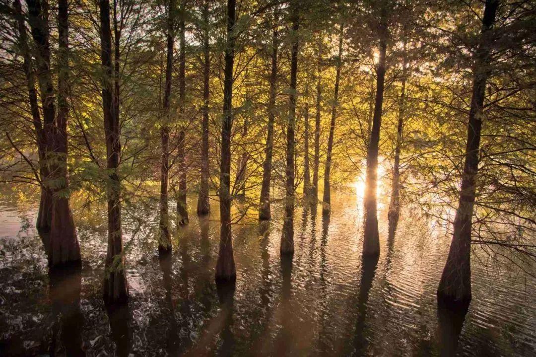 带你了解梅州,梅州介绍宣传片