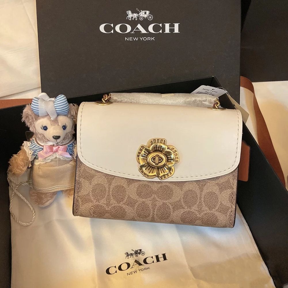 大家会买蔻驰几年前的包吗,几百块钱能买到蔻驰真包吗