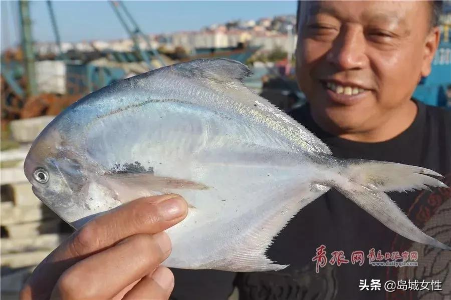靠海吃海有什么好吃的,靠海吃海各类海鲜