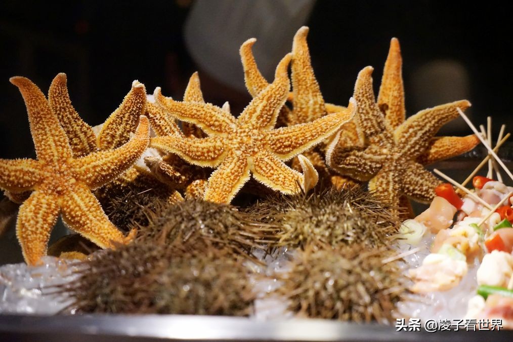 来长沙旅游选哪里的酒店比较方便,长沙附近旅游度假酒店推荐