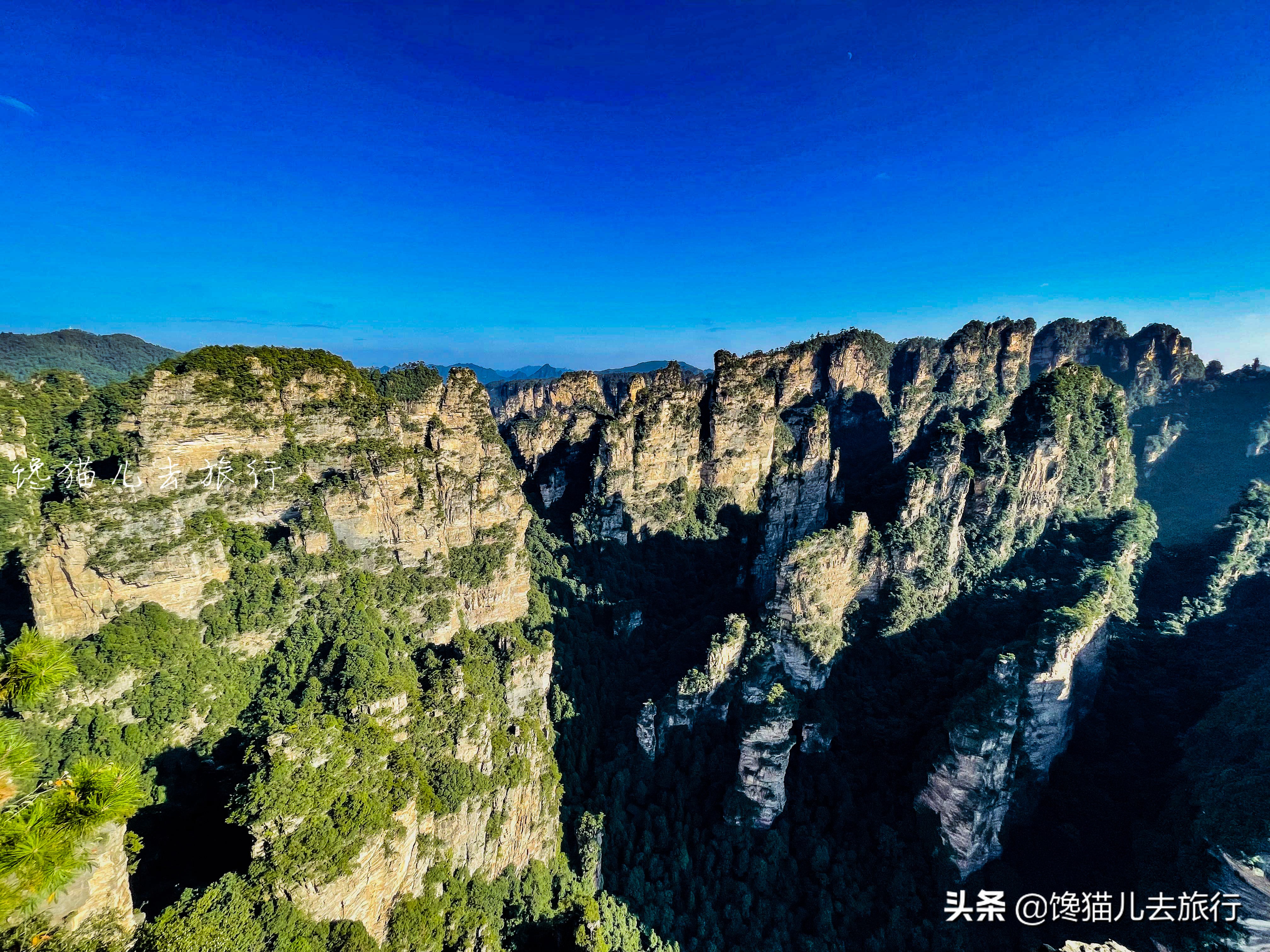 湖南张家界五日游计划安排,湖南张家界旅游方案