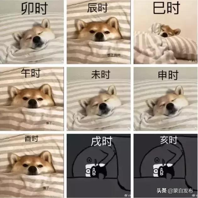 《蒙自十二时辰》，剧情并不简单~