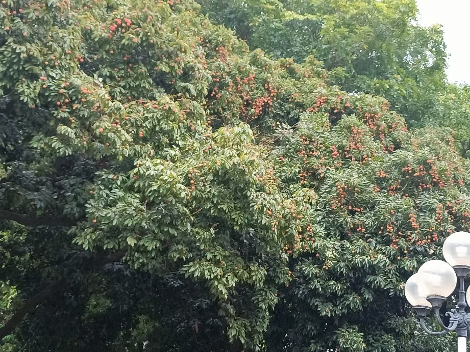 广东女子职业技术学院地铁站,广州女子职业学院附近的学校