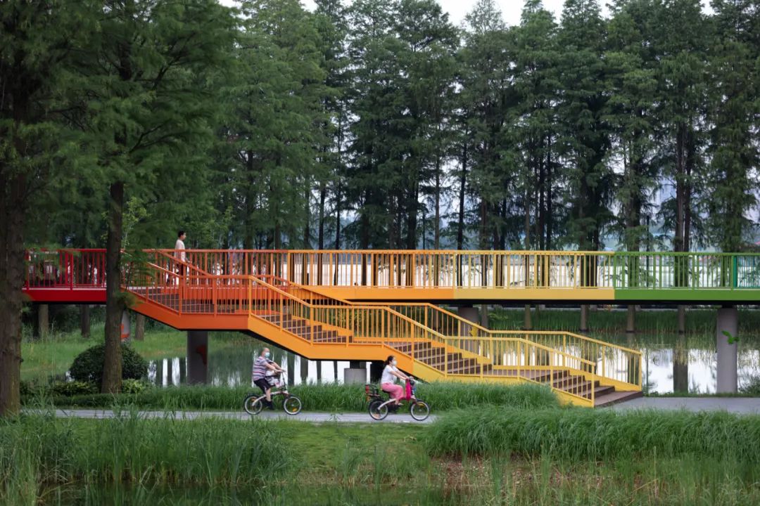 武汉华侨城湿地公园绿化,华侨城生态湿地公园武汉什么区