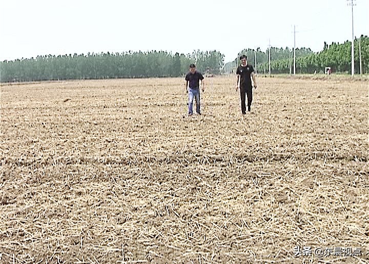 秸秆还田讲解,秸秆还田最新情况