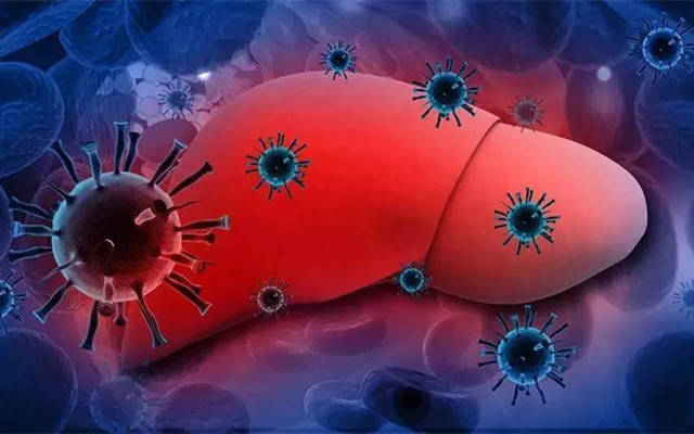 患有乙肝，一直不吃药也不治疗，最后会怎样？