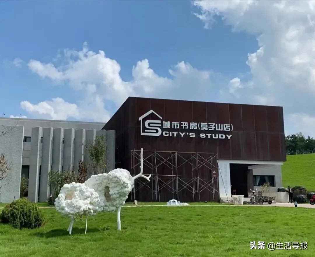 沈阳落选,沈阳入选新一线城市