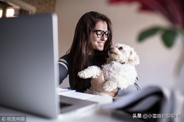 信用卡额度降了还不起了怎么办,信用卡逾期额度为0如何恢复额度