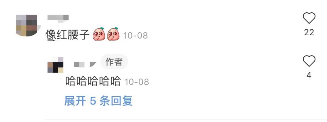 两千买波司登极寒,跟风买件波司登