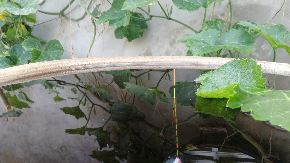 浮漂调好了水深下不去,浮漂不加钩调到五目钓几目