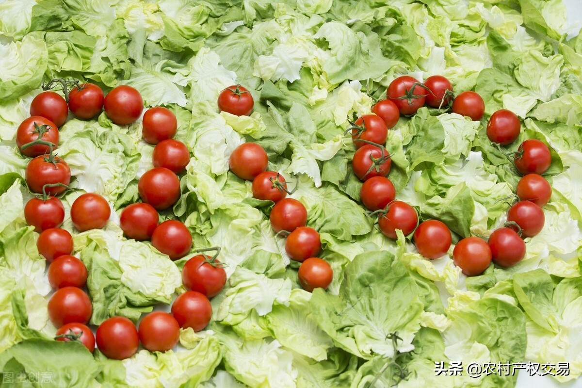 20万元投资办厂项目不愁销路,小型投资办厂哪些项目不错