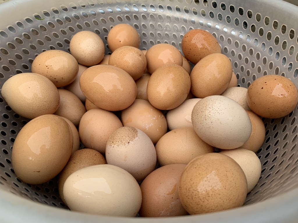 腌鸡蛋有生水一定会坏吗,腌鸡蛋二十多天不咸还需要加盐吗