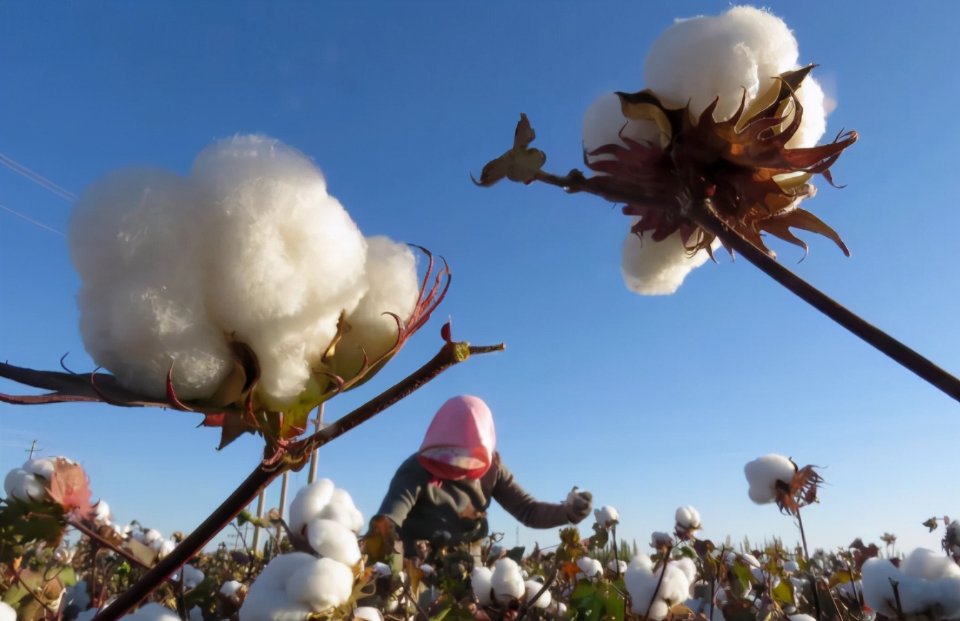 学校不让穿耐克鞋子进校,校长不让孩子穿耐克