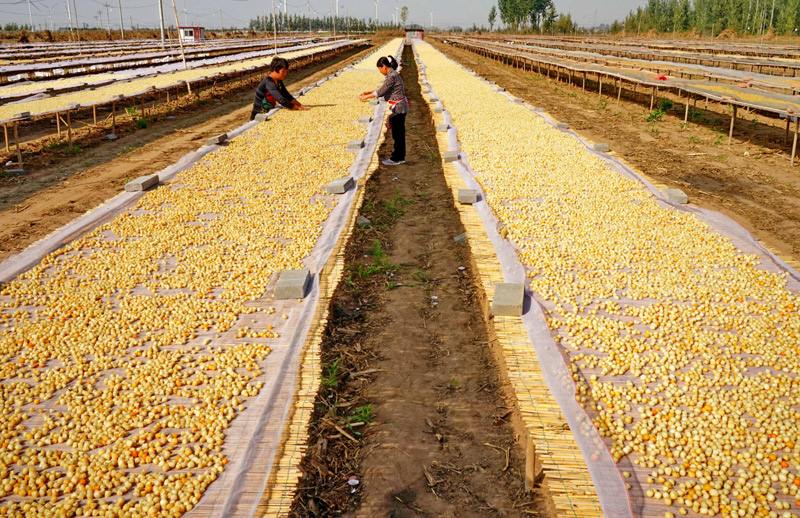 买这个食物一不留神就会上当，内行教你用4步轻松选到精品