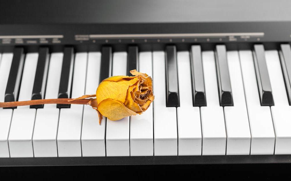 三角钢琴和立式钢琴哪个比较好,三角琴和立式钢琴对比