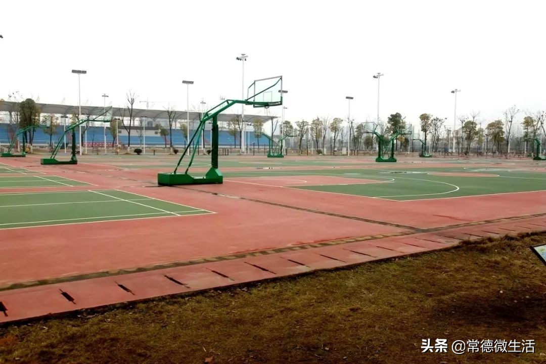 浏阳创业孵化基地在哪里申请,常德市创业孵化基地