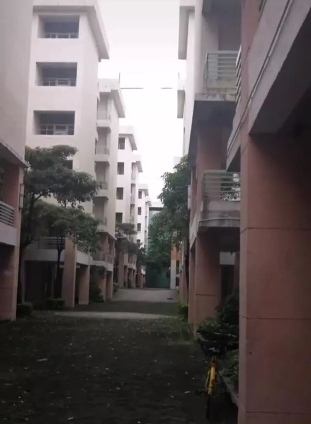 裕元鞋厂曾经多热闹,曾经十几万人的裕元鞋厂