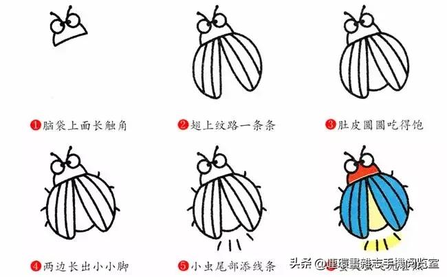可爱的小昆虫简笔画,我认识的昆虫简笔画
