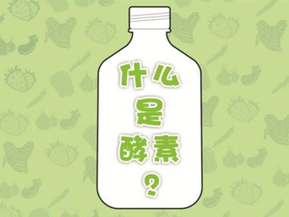 酵素本质是什么,酵素属于什么经营范围