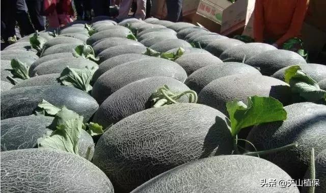 伽师县发展,伽师发展