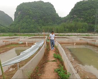 呱呱~石潭有个“青蛙王子”，每天都与500万只青蛙玩耍！