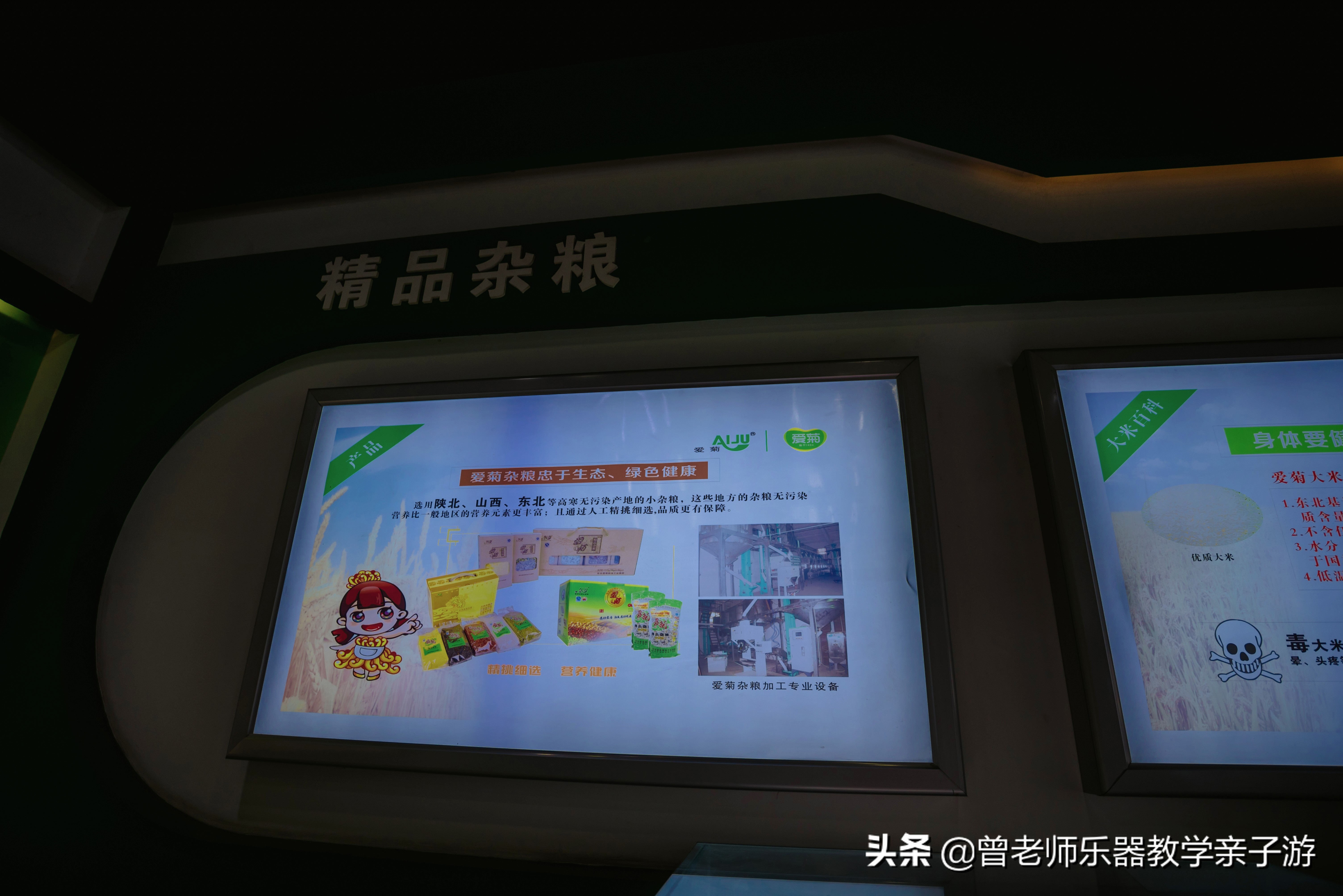 爱菊研学游,爱菊丝路文化菊花园西安