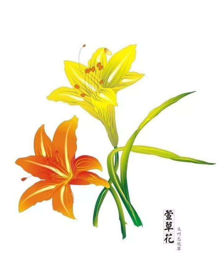 中华母亲节孟楼村,中华民族特色文化节日母亲节